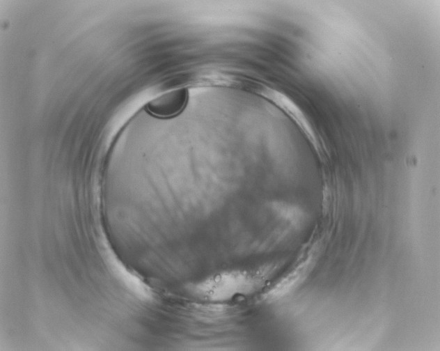 X0000088230859200706051346