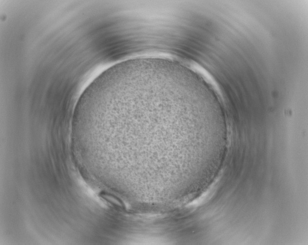 X0000088230860200706051346