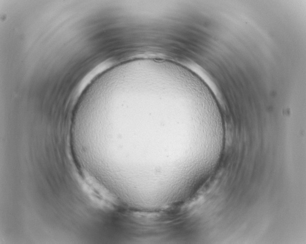 X0000088230861200706051346