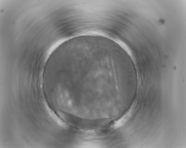 X0000088230862200706051346