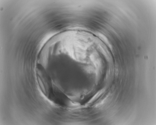 X0000088230863200706051346