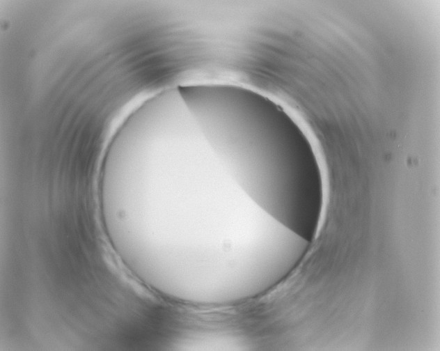 X0000088230864200706051346