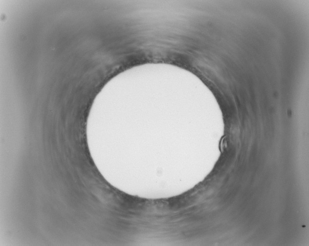 X0000088230865200706051345