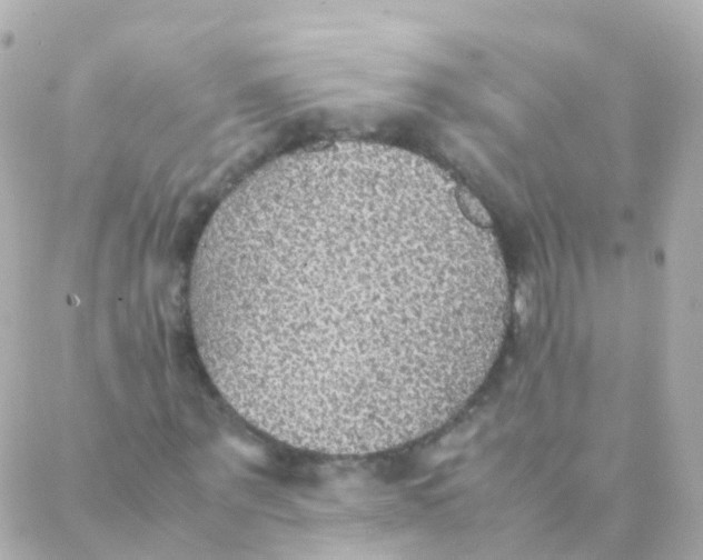 X0000088230867200706051345