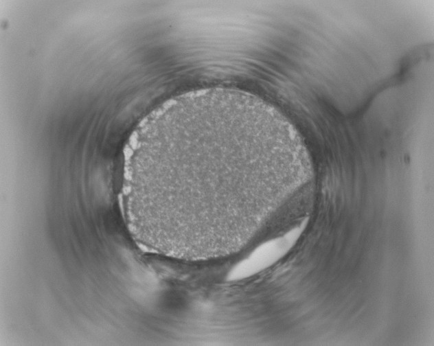 X0000088230868200706051345