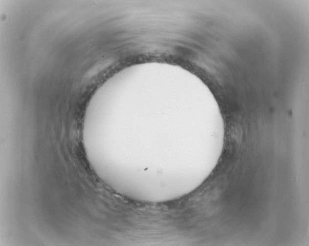 X0000088230869200706051345