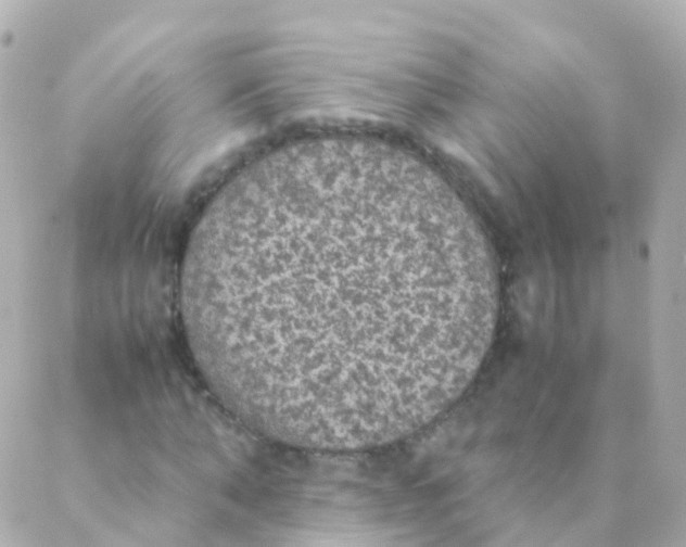 X0000088230870200706051345