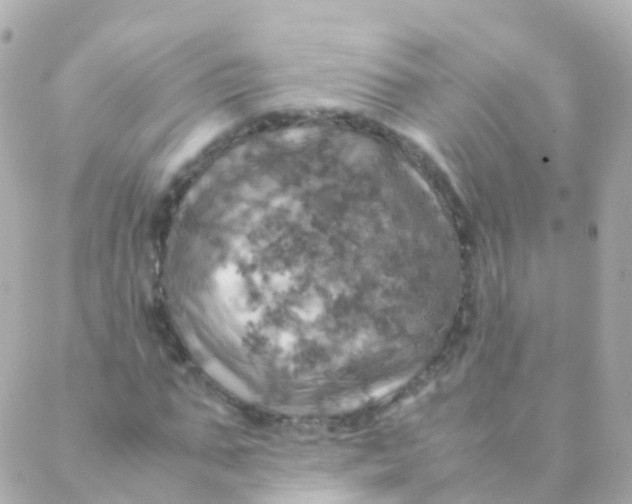 X0000088230871200706051345