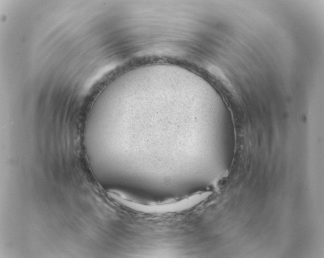 X0000088230872200706051345