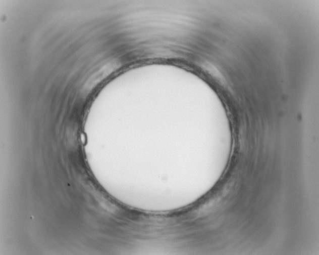 X0000088230873200706051345