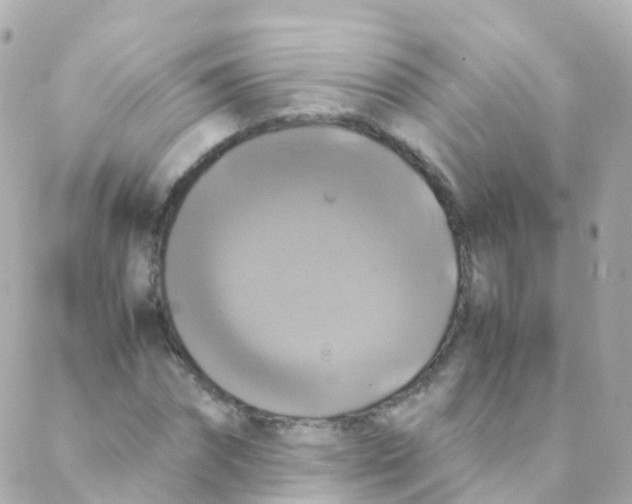 X0000088230874200706051345