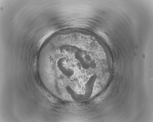 X0000088230875200706051345