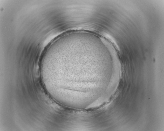 X0000088230876200706051345