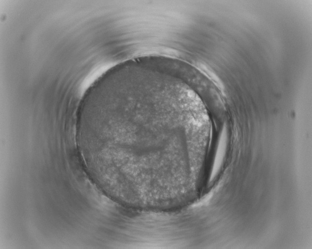 X0000088230877200706051345