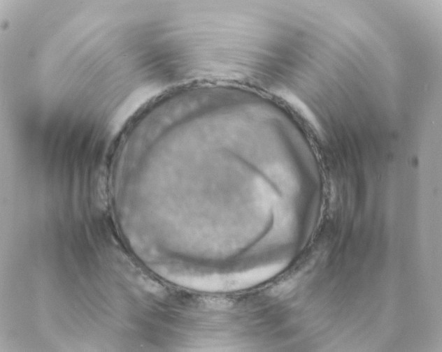 X0000088230878200706051345