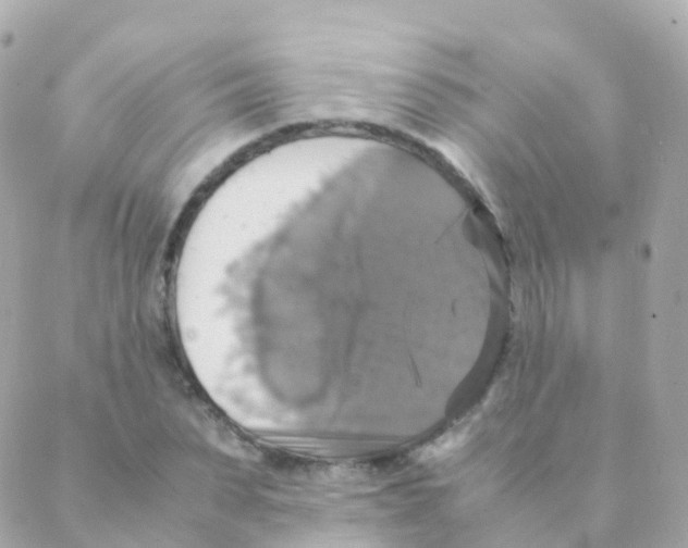 X0000088230879200706051345