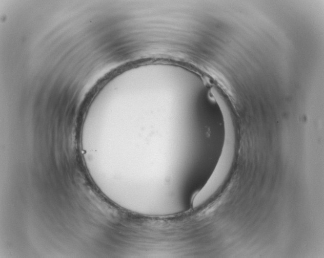 X0000088230880200706051345