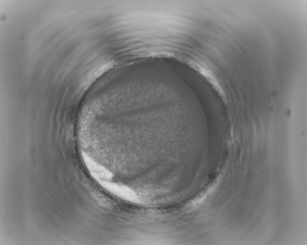 X0000088230881200706051345