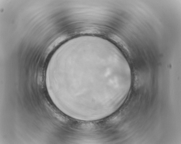 X0000088230882200706051345