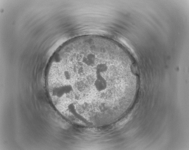 X0000088230883200706051345