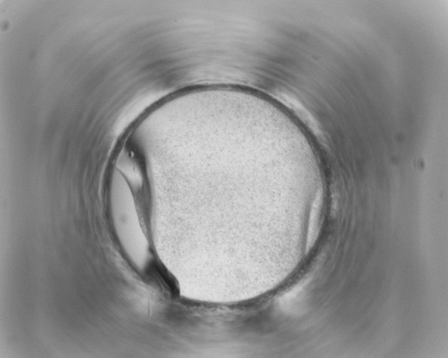 X0000088230885200706051345