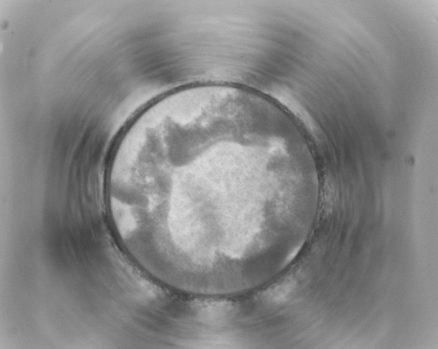 X0000088230886200706051345