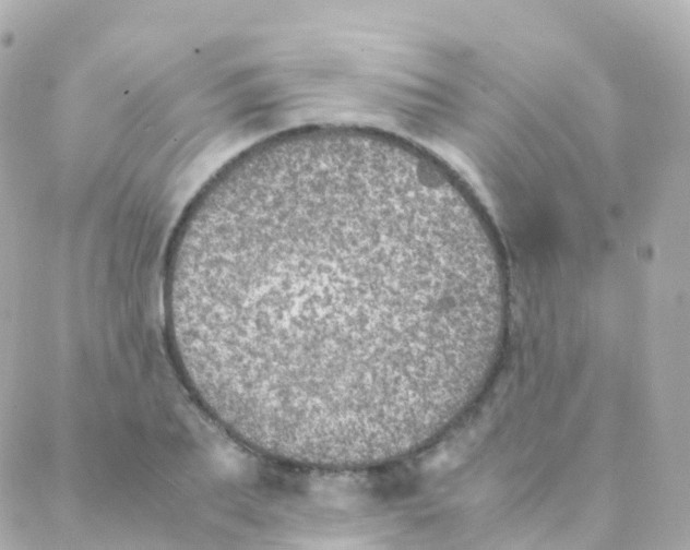 X0000088230887200706051345