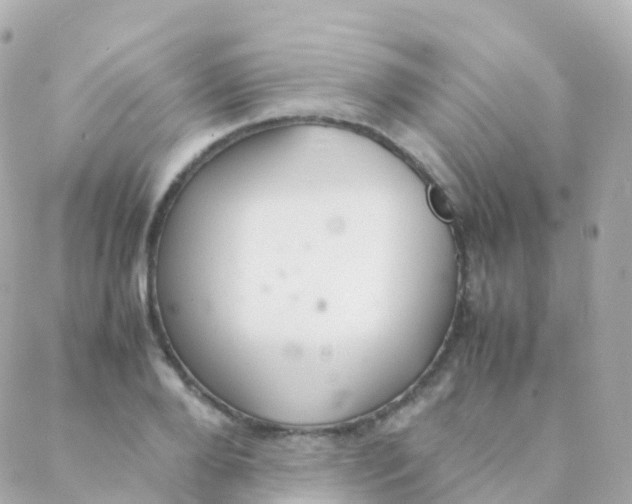 X0000088230888200706051345