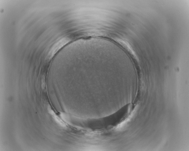 X0000088230889200706051345