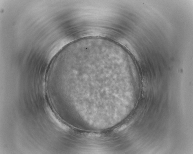 X0000088230890200706051345