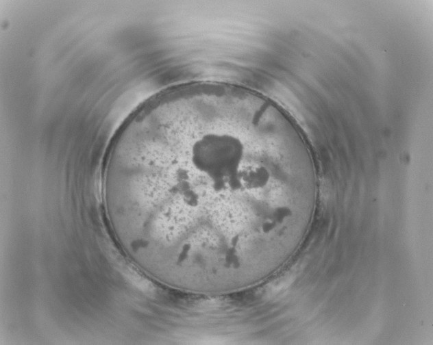 X0000088230891200706051345