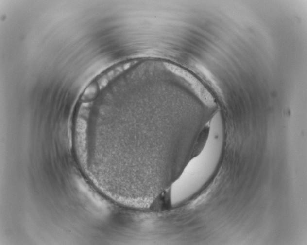 X0000088230892200706051345