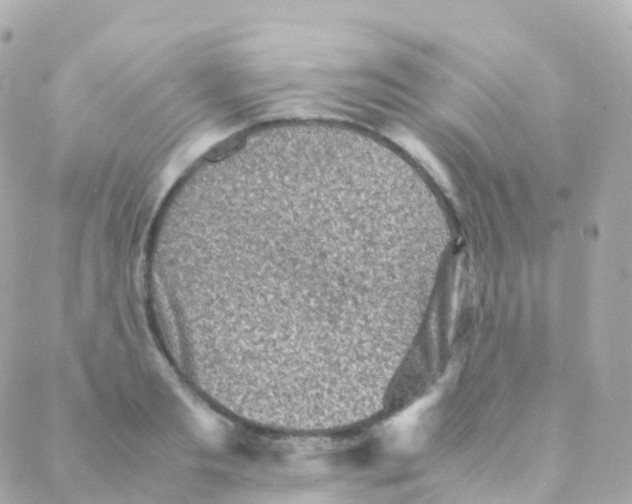 X0000088230893200706051345