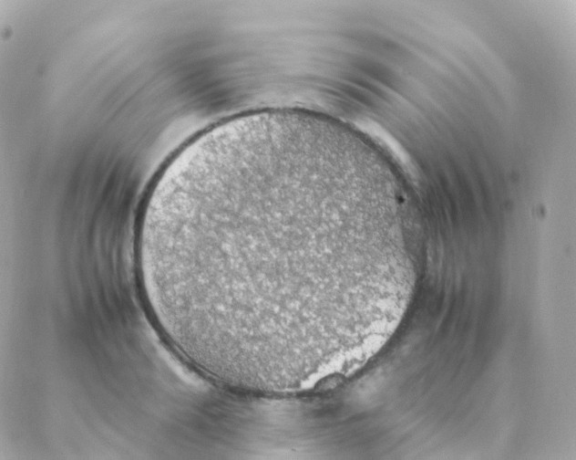 X0000088230894200706051345