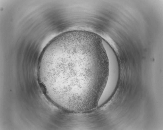 X0000088230896200706051345