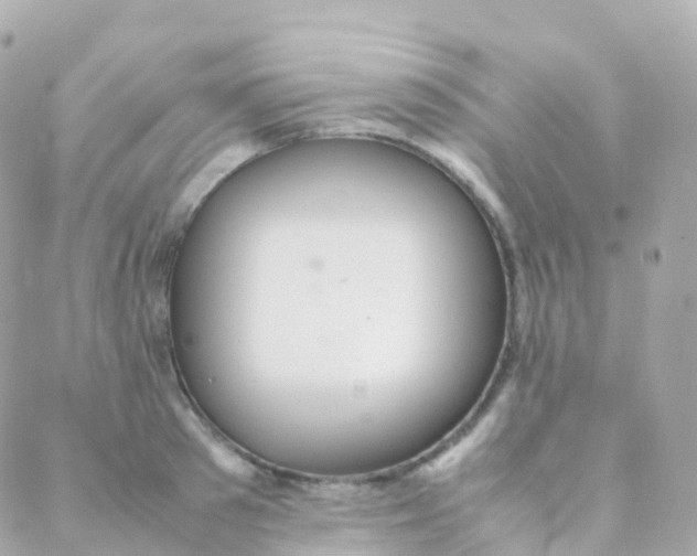 X0000088230897200706051345