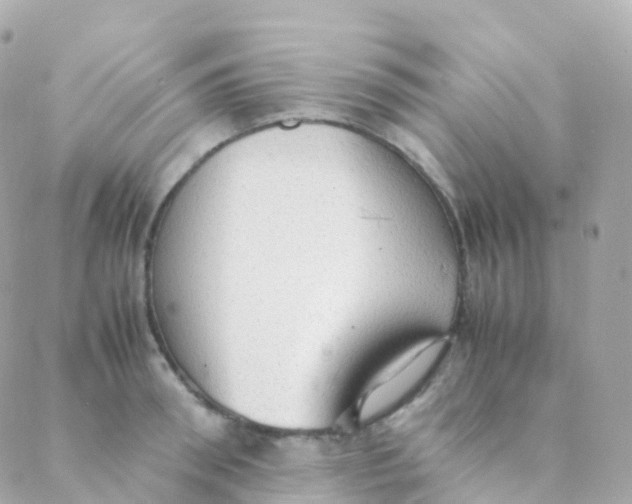 X0000088230898200706051344