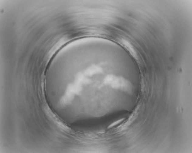 X0000088230899200706051344