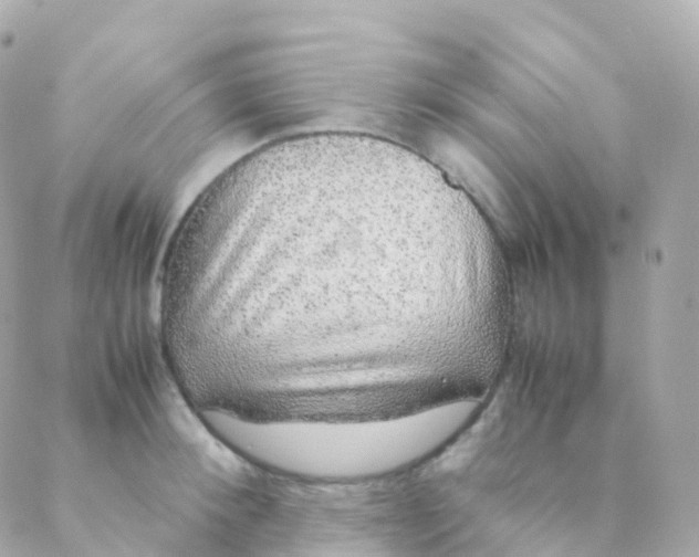 X0000088230900200706051344