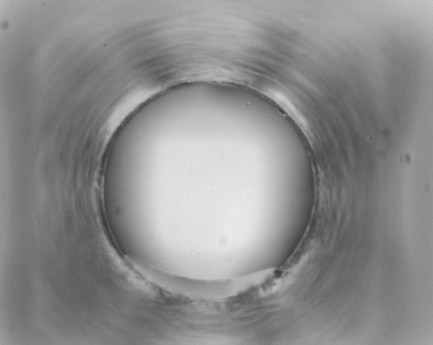 X0000088230901200706051344