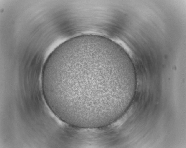 X0000088230902200706051344