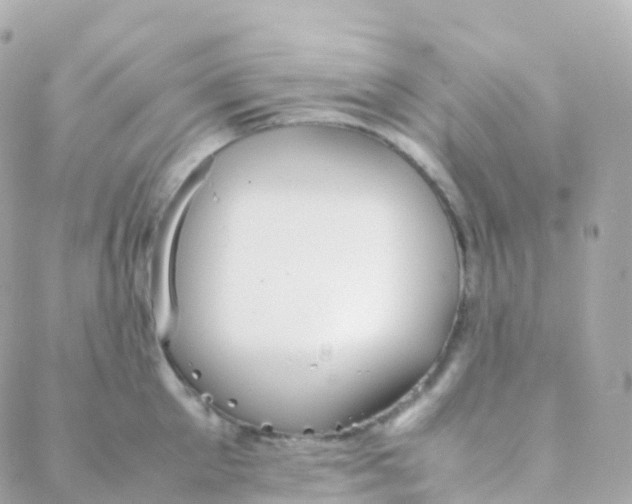 X0000088230905200706051344