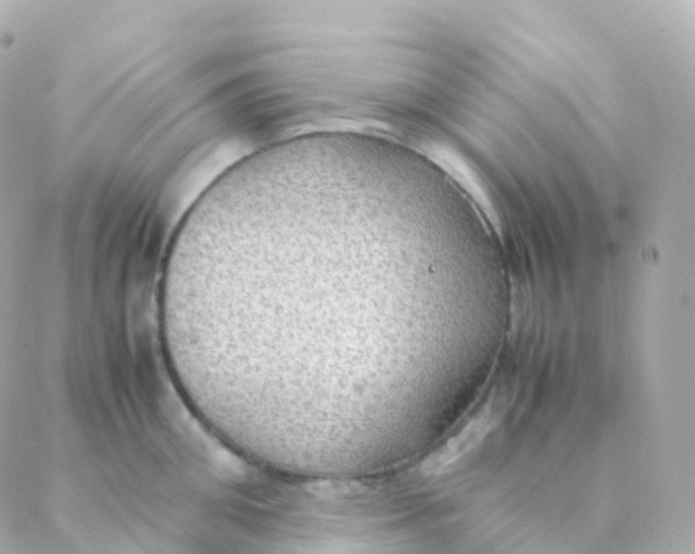 X0000088230906200706051344