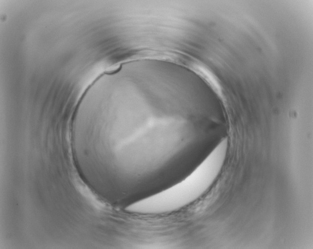 X0000088230907200706051344