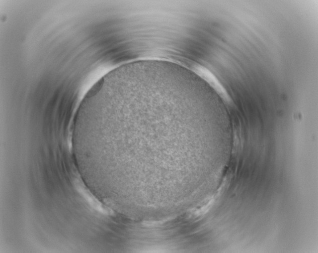 X0000088230908200706051344