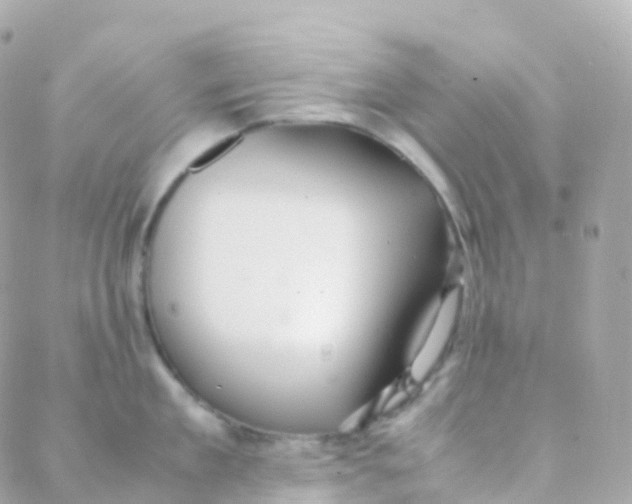 X0000088230909200706051344