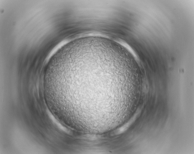 X0000088230910200706051344