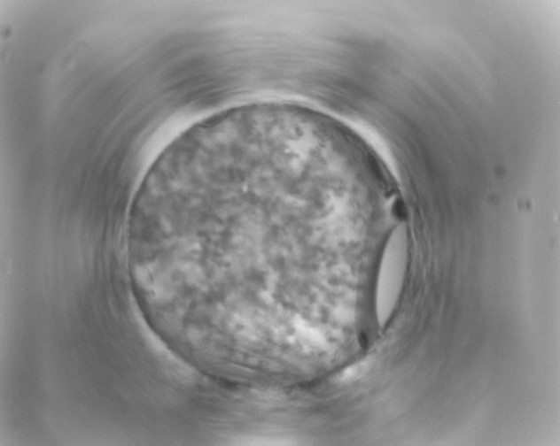 X0000088230911200706051344