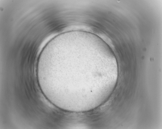 X0000088230912200706051344