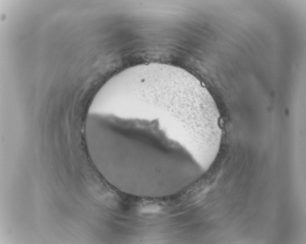 X0000088230913200706051343